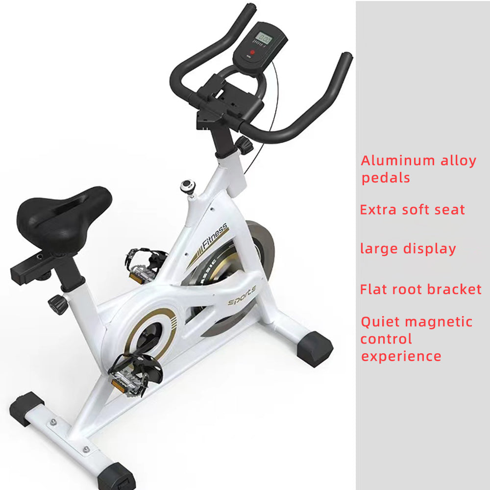 Galecon Aerobic Bike